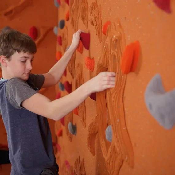 Everlast Climbing 10' H Sandstone Relief Feature™ Climbing Wall